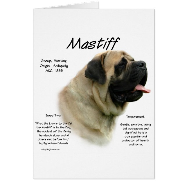 Fawn Mastiff History  (Front)