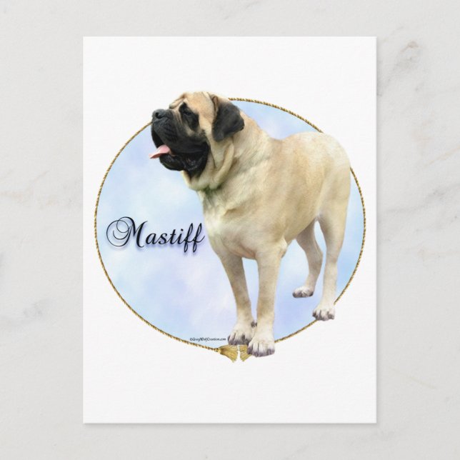 Fawn Mastiff Portrait Postcard (Front)
