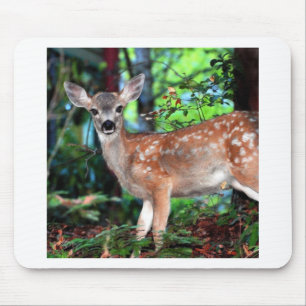 Fawn Mouse Pad