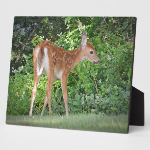 Fawn Plaque