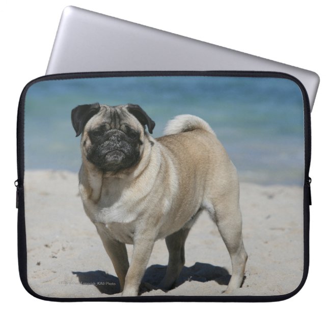 Fawn Pug at the Beach Laptop Sleeve (Front)