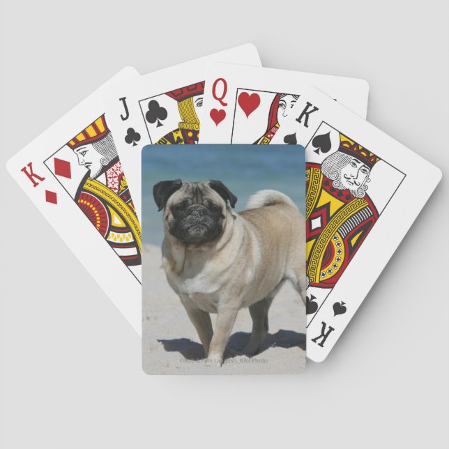 Fawn Pug at the Beach Playing Cards (Back)