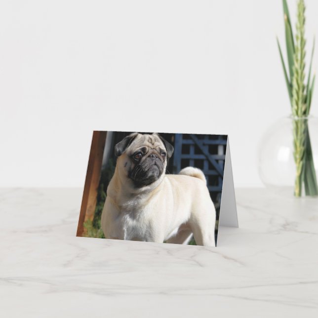 Fawn Pug Note Card - Blank (Front)