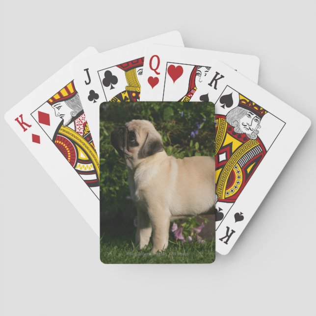 Fawn Pug Profile Playing Cards (Back)