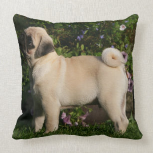 Fawn Pug Profile Throw Pillow