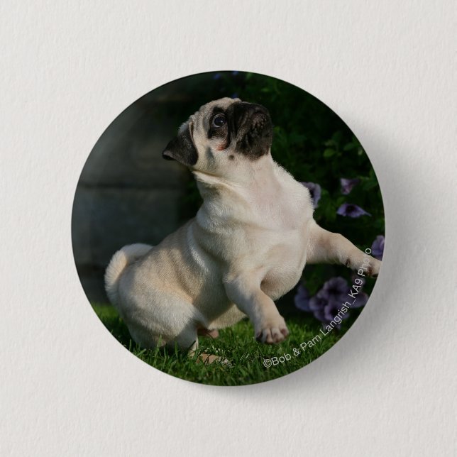 Fawn Pug Puppy 2 Inch Round Button (Front)