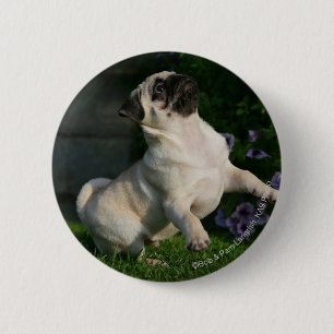 Fawn Pug Puppy 2 Inch Round Button
