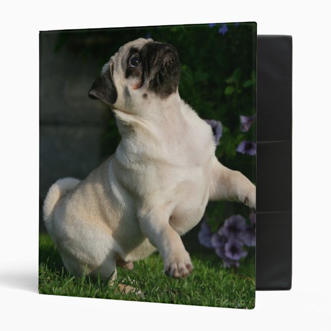 Fawn Pug Puppy Binder (Front/Inside)
