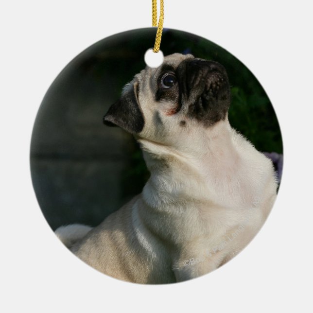 Fawn Pug Puppy Ceramic Ornament (Front)