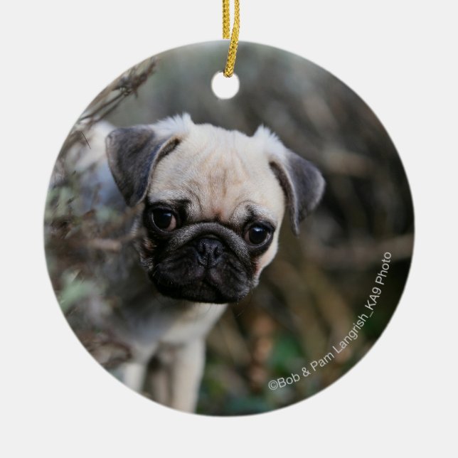 Fawn Pug Puppy Headshot Ceramic Ornament (Front)