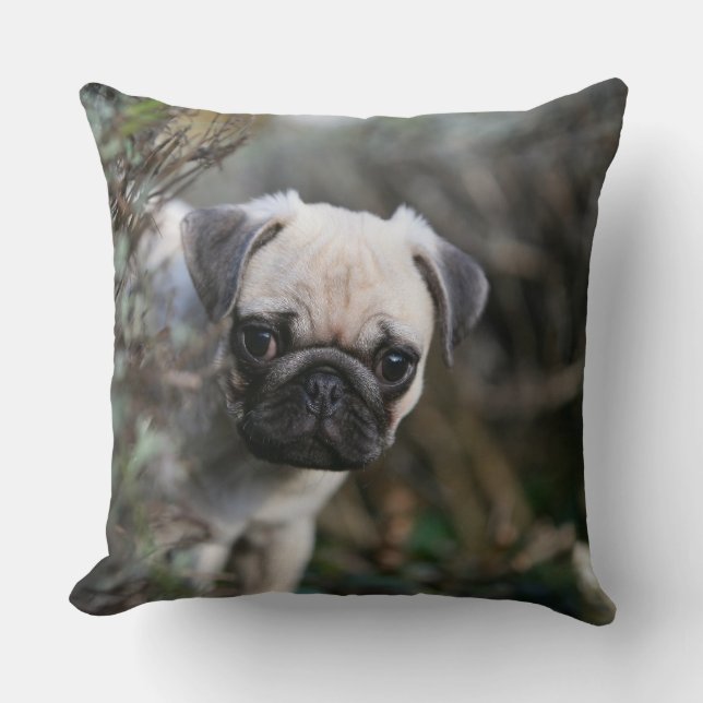 Fawn Pug Puppy Headshot Throw Pillow (Front)