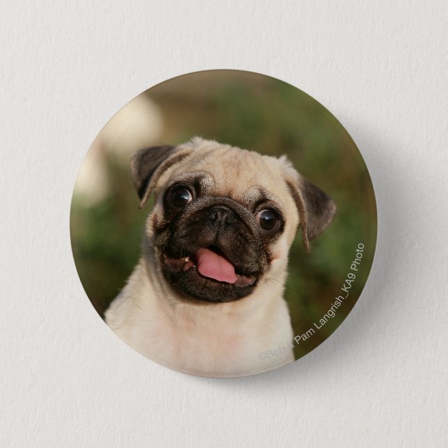 Fawn Pug Puppy Panting 2 Inch Round Button (Front)