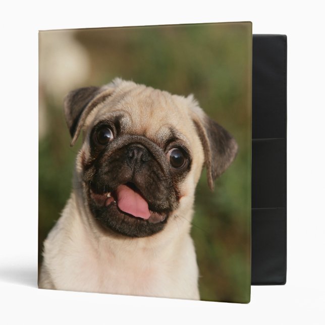 Fawn Pug Puppy Panting Binder (Front/Inside)