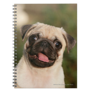 Fawn Pug Puppy Panting Notebook