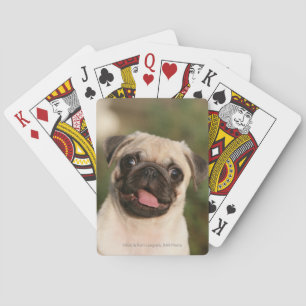 Fawn Pug Puppy Panting Playing Cards