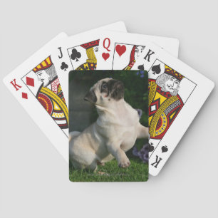 Fawn Pug Puppy Playing Cards