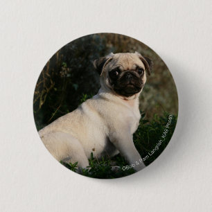 Fawn Pug Puppy Sitting 2 Inch Round Button