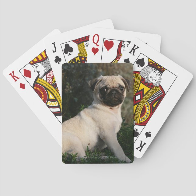Fawn Pug Puppy Sitting Playing Cards (Back)