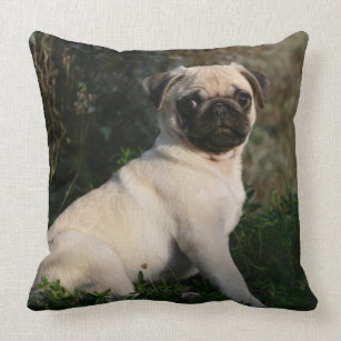 Fawn Pug Puppy Sitting Throw Pillow
