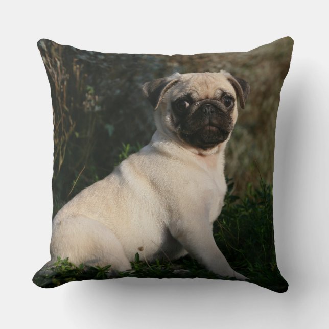 Fawn Pug Puppy Sitting Throw Pillow (Front)