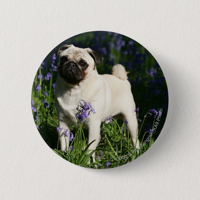Fawn Pug Standing in the Bluebells 2 Inch Round Button (Front)