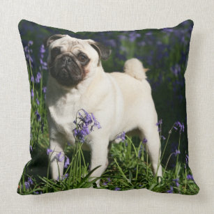 Fawn Pug Standing in the Bluebells Throw Pillow