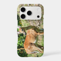 Fawn Puzzle