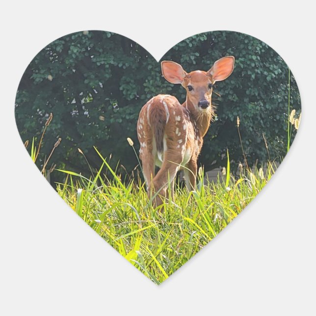 Fawn Standing in the Grass Heart Sticker (Front)