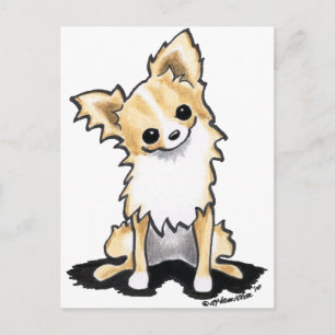 Fawn & White Longhair Chihuahua Sit Pretty Postcard