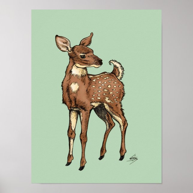 Fawn with Mint background Poster (Front)