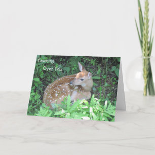 Fawning Over You Card