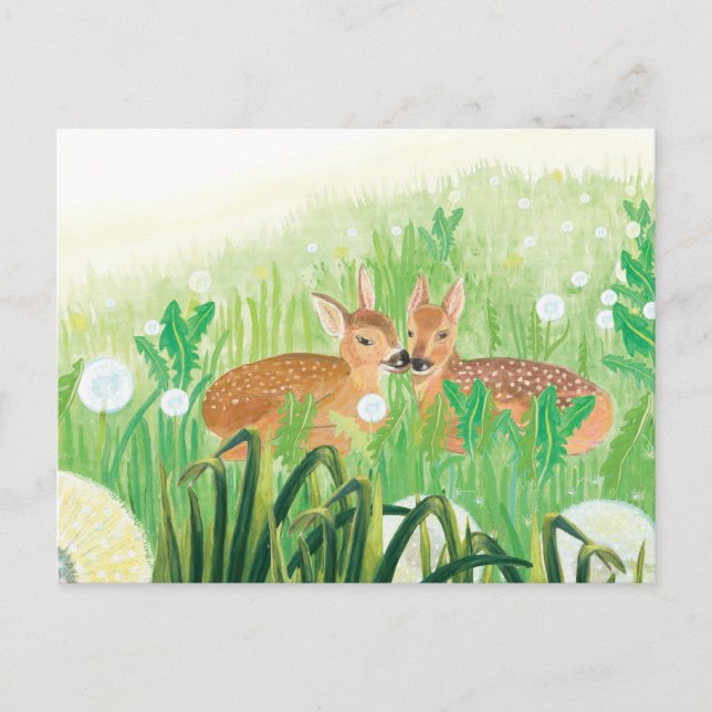 Fawns in Tall Grass Illustration Postcard (Front)