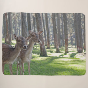 FAWNS SHERPA BLANKET