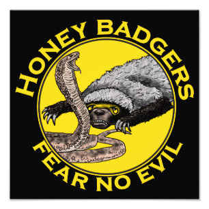 Fear No Evil Honey Badger Snake Animal Art Design Photo Print