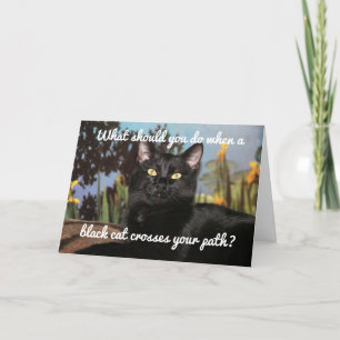 Fear Of Black Cats Card