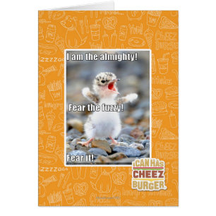 Fear the Fuzzy!