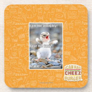 Fear the Fuzzy! Coaster