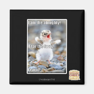 Fear the Fuzzy! Magnet
