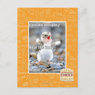 Fear the Fuzzy! Postcard