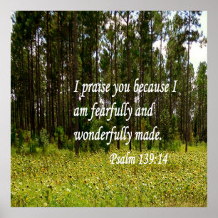 Fearfully and Wonderfully Made Poster