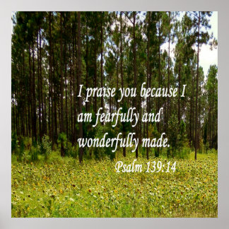 Fearfully and Wonderfully Made Poster
