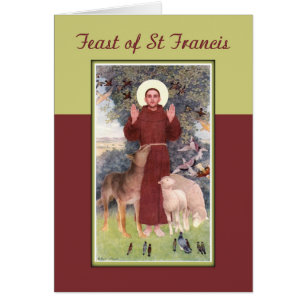 Feast of St. Francis, Animals and Stigmata