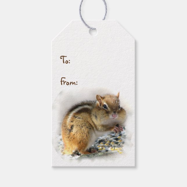 Feasting Chipmunk Pack of Gift Tags (Front)