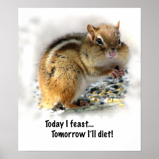 Feasting Chipmunk Poster (Front)