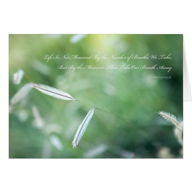 feather (Front Horizontal)