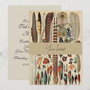 Feather Bird Wildlife Antique Feathers Invitation