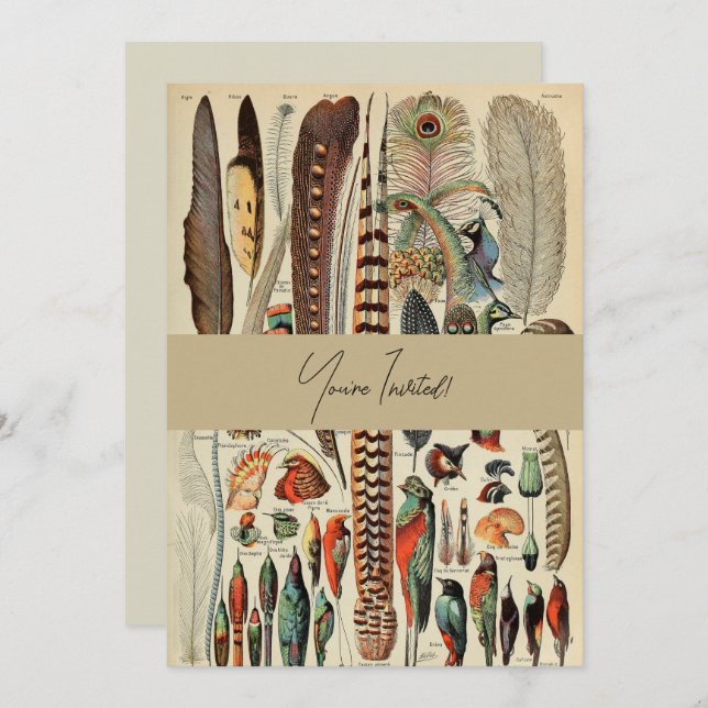 Feather Bird Wildlife Antique Feathers Invitation (Front/Back)