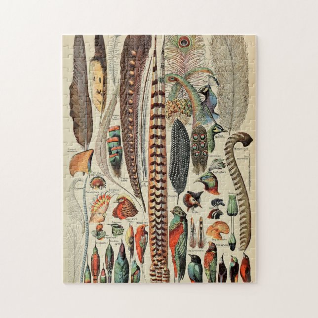 Feather Bird Wildlife Antique Feathers Jigsaw Puzzle (Vertical)