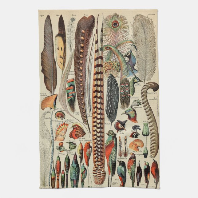 Feather Bird Wildlife Antique Feathers Kitchen Towel (Vertical)