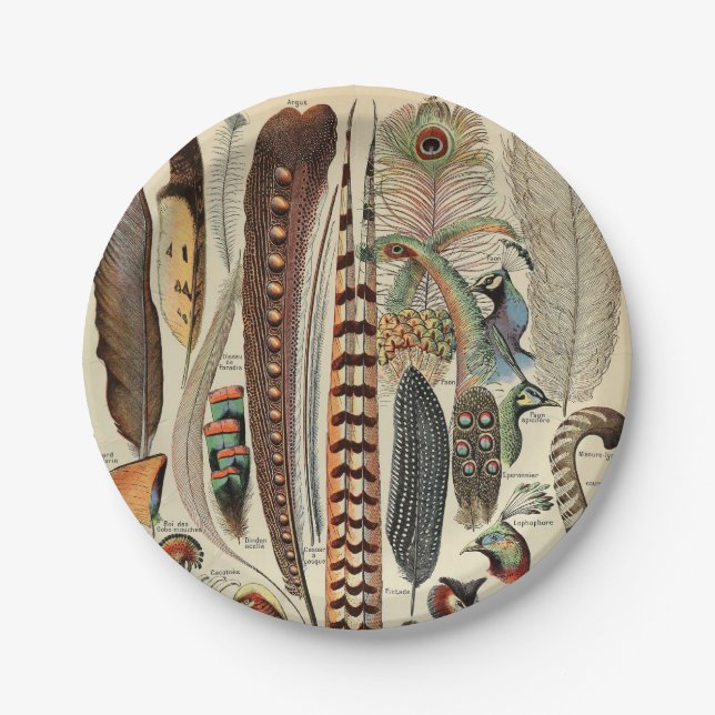 Feather Bird Wildlife Antique Feathers Paper Plate (Front)